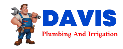 Trusted plumber in NORENE